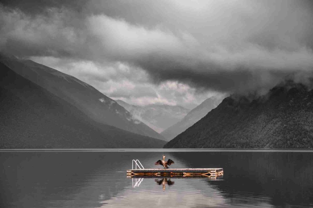 Nelson Lakes Nueva Zelanda | El lago más bonito de Nueva Zelanda