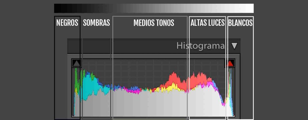 partes del histograma fotografía