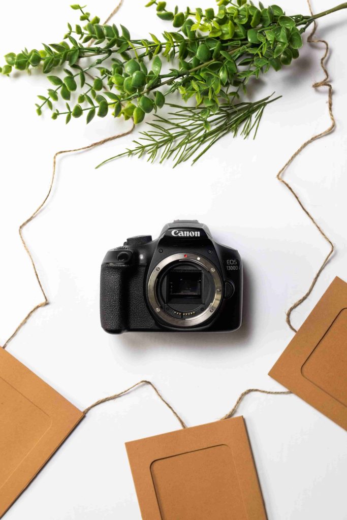 canon vs nikon vs sony